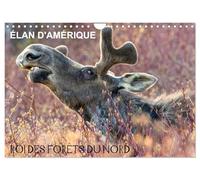 ÉLAN D'AMÉRIQUE - ROI DES FORÊTS DU NORD (Calendrier mural 2027 DIN A4 vertical), CALVENDO calendrier mensuel: Comme un roi dans son royaume, ... et aucun autre animal ne viendra le déranger.