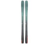Elan - Skis all-mountain - Ripstick 88 2026 in Legno - Taglia 175 cm - Grigio