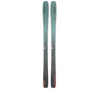 Elan - Skis all-mountain - Ripstick 88 2026 in Legno - Taglia 182 cm - Grigio