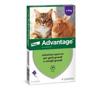 Elanco ADVANTAGE 80 mg Gatti Conigli 4 kg→ Antiparassitario Spot on 4 Pipette