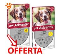Lista prodotti Advantix Spot-on per cane - 6 pipette per cani 10-25 kg (2,5 ml)