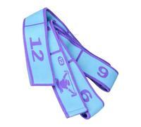 Elastic Resistance Bands, Stretch Training Band, Adjustable Length Fitness Equipment for Pilates Dance Material Workout Strap Gym Accessory Exercise Tool for Home Yoga Ballet Fitness Training