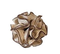 Elastici Capelli Donna 2pc Vintage Versatile Striped Fabric Hair Scrunchie, Ponytail Tie For The Back Of The Head, Stylish per Accessori(Round khaki stripes)