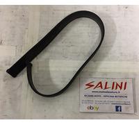 Elastico ad anello alzavetro Ape TM P703-P703V FL2 220 1984/2005 - 213749