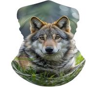 Elastico Cerchietto per Capelli,Wolf On The Grass,Decorazione facciale Stampato Sciarpa al Collo per Uomo Donna Yoga 26X30cm