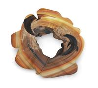 Elastico per capelli, con delfino che salta fuori dall'acqua, fasce elastiche per capelli, accessori per capelli morbidi, adatti a tutti i tipi di capelli