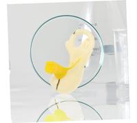 ELAYARD Modello Anatomico Orecchio con Base Ingrandito e Realistico per Insegnamento Della Struttura Dellorecchio