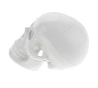 ELAYARD Modello Mini Teschio Anatomico in PVC Resistente per Studio e Decorazione Halloween Dettagli Realistici per Insegnamento e Disegno Portatile per Scrivania e Collezione