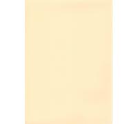 ELBE Membrana Supra Premium Line - Sabbia - Spessore 1,5 mm / 25 x 1,65 m