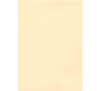 ELBE Membrana Supra Premium Line - Sabbia - Spessore 1,5 mm / 25 x 2,00 m