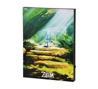 Elbenwald Zelda Master Sword Murale con luce a batteria 30 x 40 x 3,8 cm