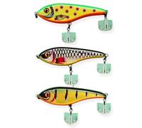 ELBFANG Jerkbait Set - Jerkbait Hecht - Jerk Wobbler - Esche luccio