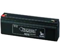 ELC BATTERIA RICARICABILE PIOMBO 12V 2,0 AH 178X35X62MM