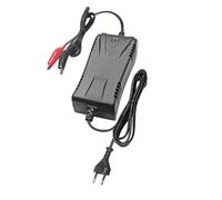 ELC CARICABATTERIA PER BATTERIA AL PIOMBO 24V 1A SWITCHING