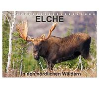 ELCHE In den nördlichen Wäldern (Tischkalender 2026 DIN A5 quer), CALVENDO Monatskalender: Begleiten wir den Elch in den nördlichen Wäldern von ... 13 tolle Fotos von diesen stillen Riesen.