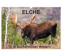 ELCHE In den nördlichen Wäldern (Wandkalender 2026 DIN A3 quer), CALVENDO Monatskalender: Begleiten wir den Elch in den nördlichen Wäldern von Quebec. ... 13 tolle Fotos von diesen stillen Riesen.