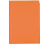 Elco 29466.82 Ordo - Cartella Discreta, 200 x 310 mm, 120 g, colore: Arancione, 100 Pezzi
