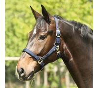 Eldorado Nylon-Pferdehalfter Lea - Navy - Kaltblut Führhalfter Cavezza IN