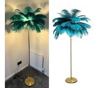 Ele d Moderna Piuma di Struzzo Lampada da Terra - Lampada da Terra a LED con Interruttore a Pedale per Soggiorno Home Decor Feather e Chic Lighting Solut