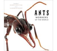 Eleanor Spicer Rice Ants: Workers of the World (Copertina rigida)