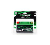 ELECTHIUM BATTERIA YTX12-BS / HJTX12(L) FP-S