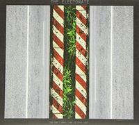 Electorate - You Don'T Have Time To Stay Lost