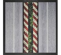 Electorate - You Don'T Have Time To Stay Lost