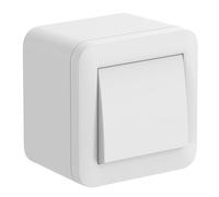 Electraline 60474 contenitore da superficie con interruttore/deviatore FIXA, 10A, bianco, IP40, compatibile per installazione con tubo rigido e canalina
