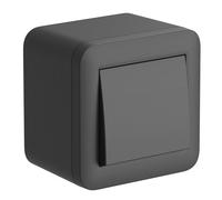 Electraline 60482 contenitore da superficie con deviatore FIXA,10A, nero, IP40, compatibile per installazione con tubo rigido e canalina