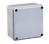 Electraline 60557 Cassetta di Derivazione da Parete, Misura 100x100 mm, IP56, Grigio