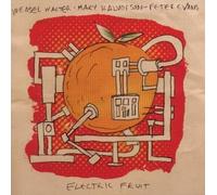 Electric Fruit by Mary Halvorson (2011-01-25)
