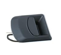 ELECTRIC LIFE ZR80486 Maniglia porta per IVECO DAILY III Pianale piatto/Telaio