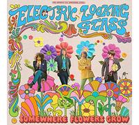Electric Looking Glass - Somewhere Flowers Grow