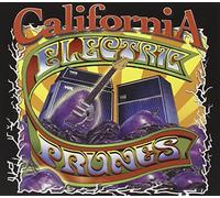 Electric Prunes - California