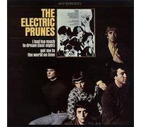 Electric Prunes - I Had Too Much To Dream