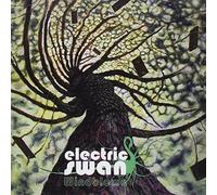Electric Swan - Windblown