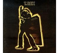 Electric Warrior