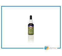 Electro australian bush flower 30ml