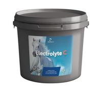 Electrolyte c polvere 3 kg