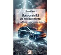 Electromobilité: Un problème de Ressources sous tension