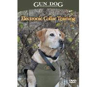 Electronic Collar Training
