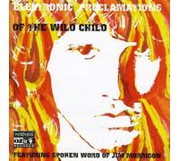 Electronic Proclamations Of The Wildchild - Jim Morrison (Audio cd)