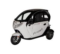 Electroride Frost - Triciclo Elettrico Compatto per Due Persone