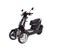 Electroride Trike - Triciclo Elettrico Sportivo per Giovani e Spiriti Dinamici