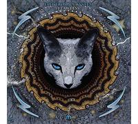 Electrosoul System - Flawless