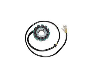 ElectroSport ESG015 Statore 12 poli Suzuki GS750