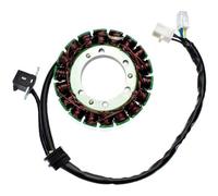 Electrosport ESG545 Statore Arctic Cat 650 H1 - 0802 - 037