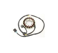 ElectroSport Stator ESG309 per alternatore