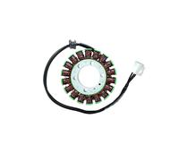 ElectroSport Stator ESG382 per alternatore