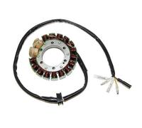 ElectroSport Stator ESG413 per alternatore